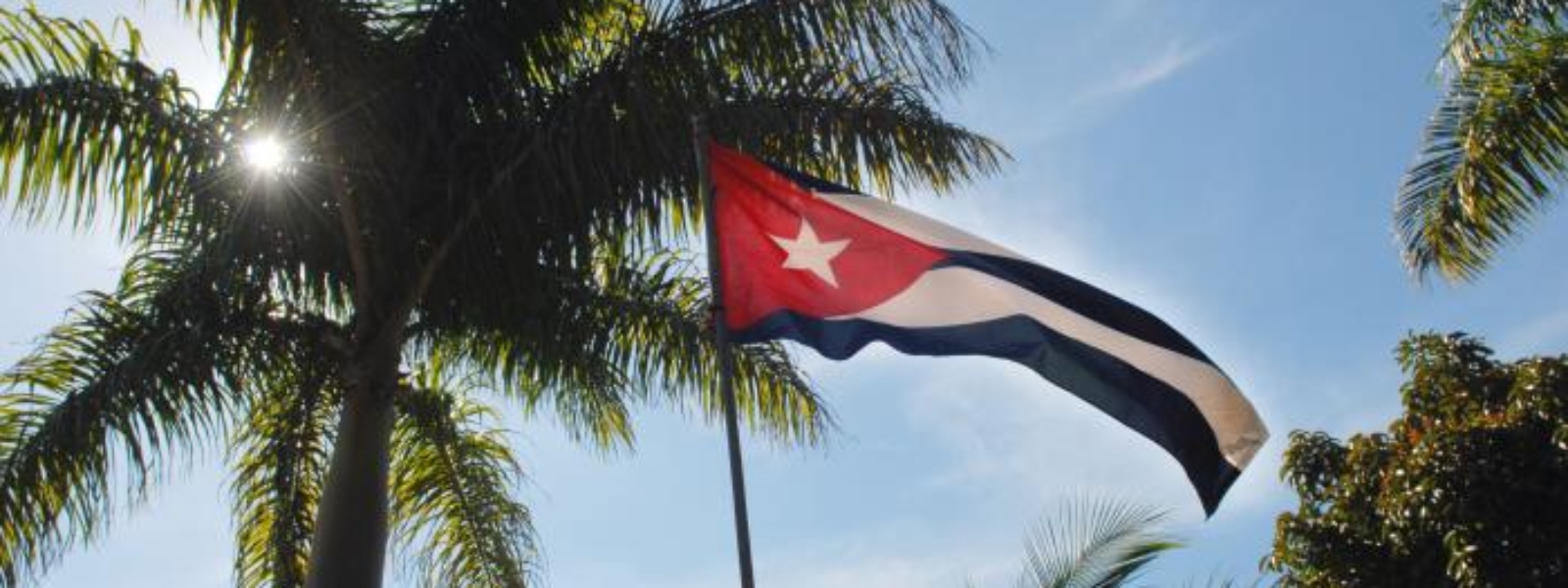 bandera-palma-real-cuba-1